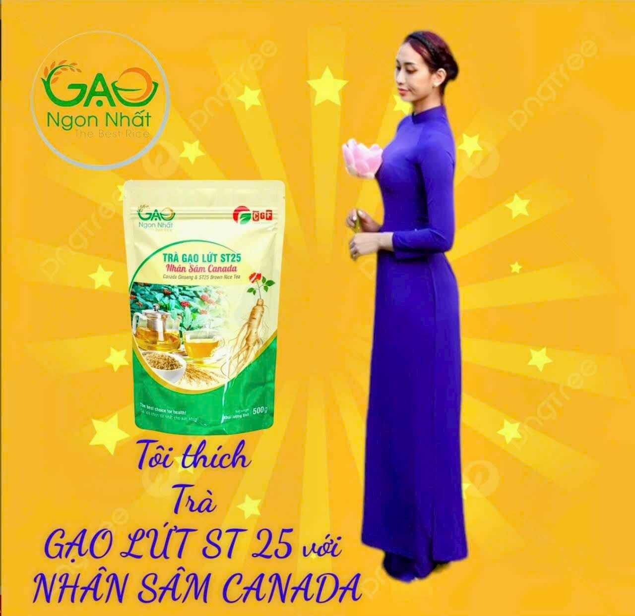 tra-gao-lut-st25-tragaolutst25