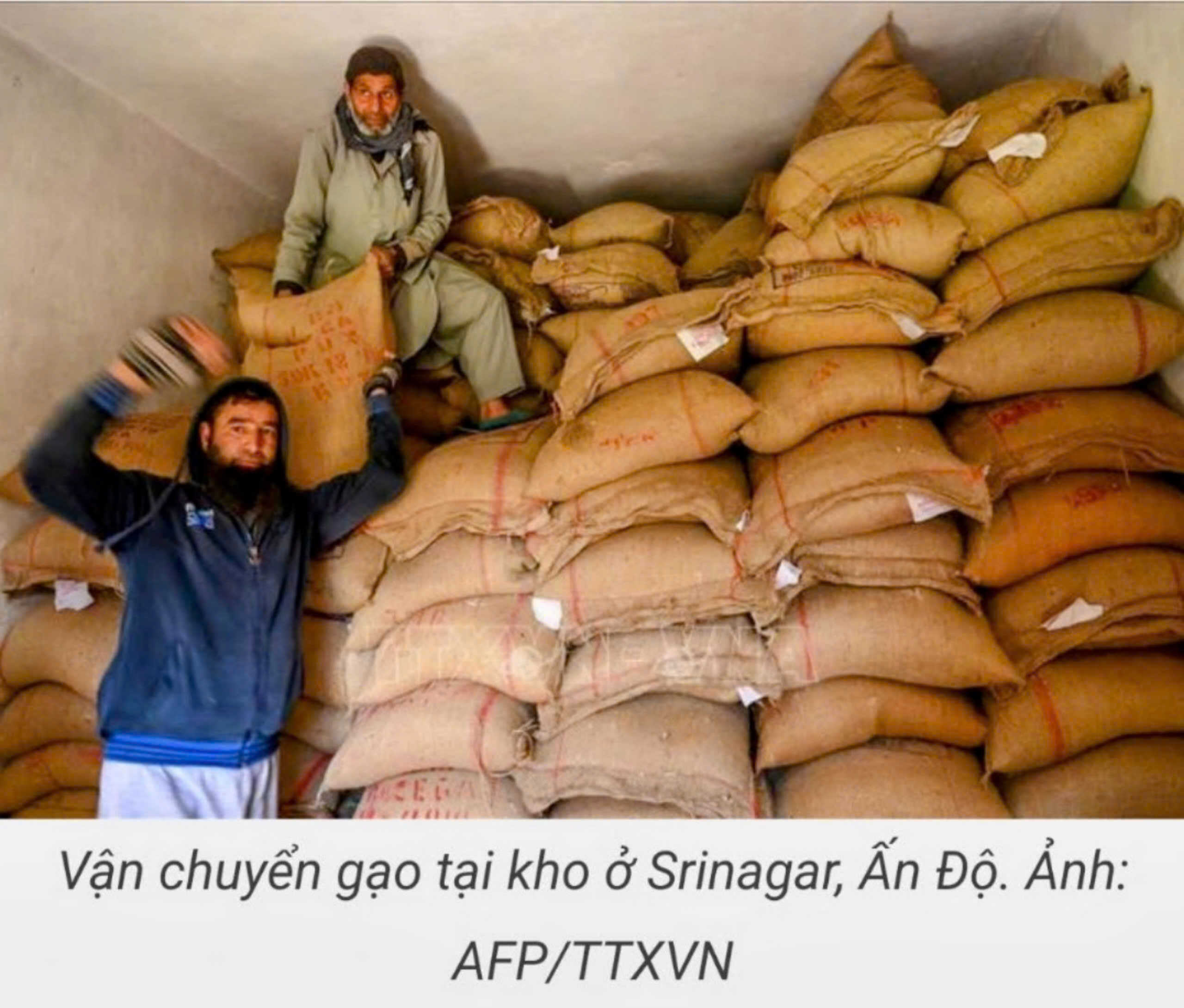 Giá gạo biến động thế nào khi Ấn Độ dỡ bỏ lệnh cấm xuất khẩu gạo non