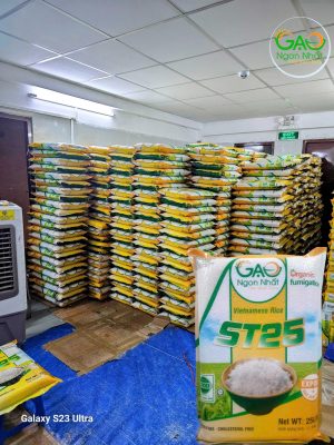 kho-gao-st25-tai-gao-ngon-nhat-gaost25