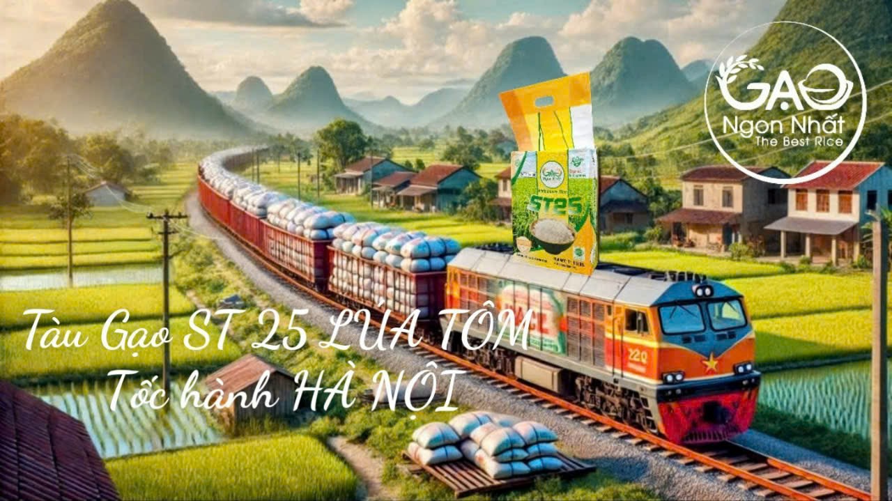 Gạo ST25 chạy đua tốc độ để đến với khách hàng Tết Tây, Tết Ta