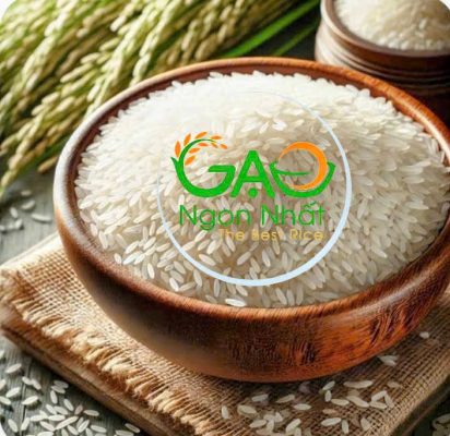 gao-st25-nhan-hieu-gao-ngon-nhat-tai-gnn