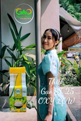 gao-st25-duoc-xu-ly-tinh-bot-khang