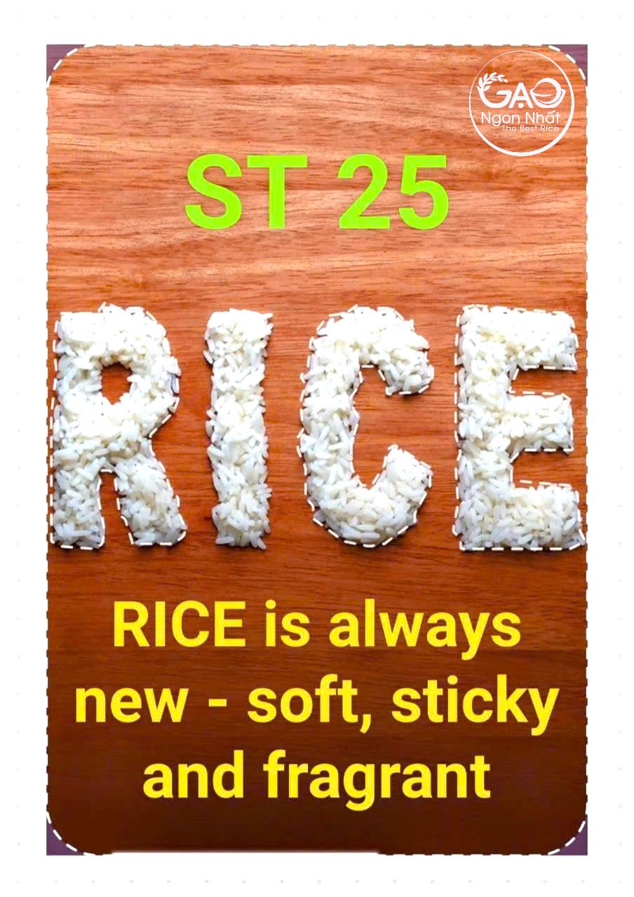 gao-st25-tiktok-shop-2025