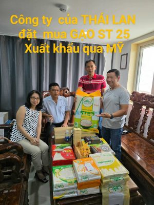 gao-st25-duoc-cong-ty-thai-lan-dat-mua-xuat-khau-qua-My