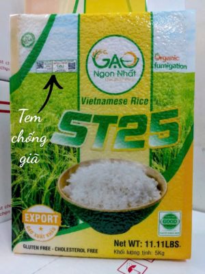 gao-st25-tem-chong-hang-gia