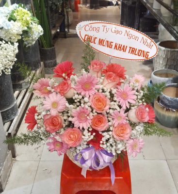 cong-ty-gao-ngon-nhat-chuc-mung-tien-khang