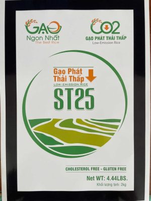 gao-phat-thai-thap-st25
