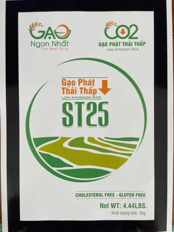 gao-phat-thai-thap-st25