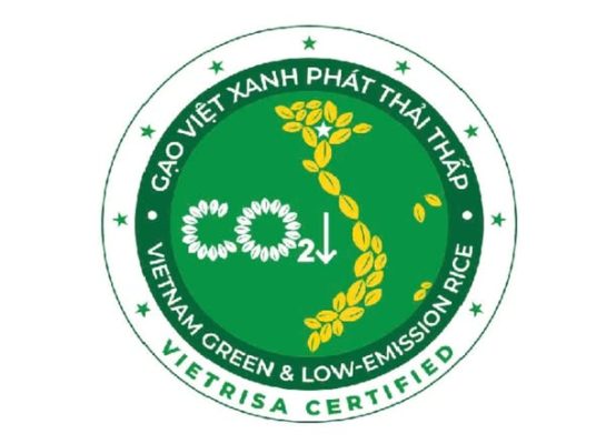 gao-viet-xanh-phat-thai-thap-st25-gao-ngon-nhat