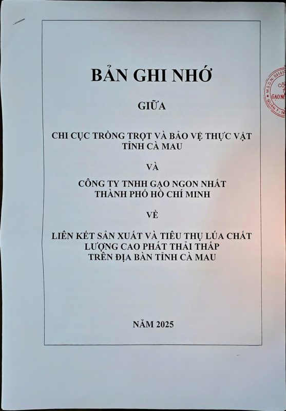 ban-ghi-nho-gao-ngon-nhat