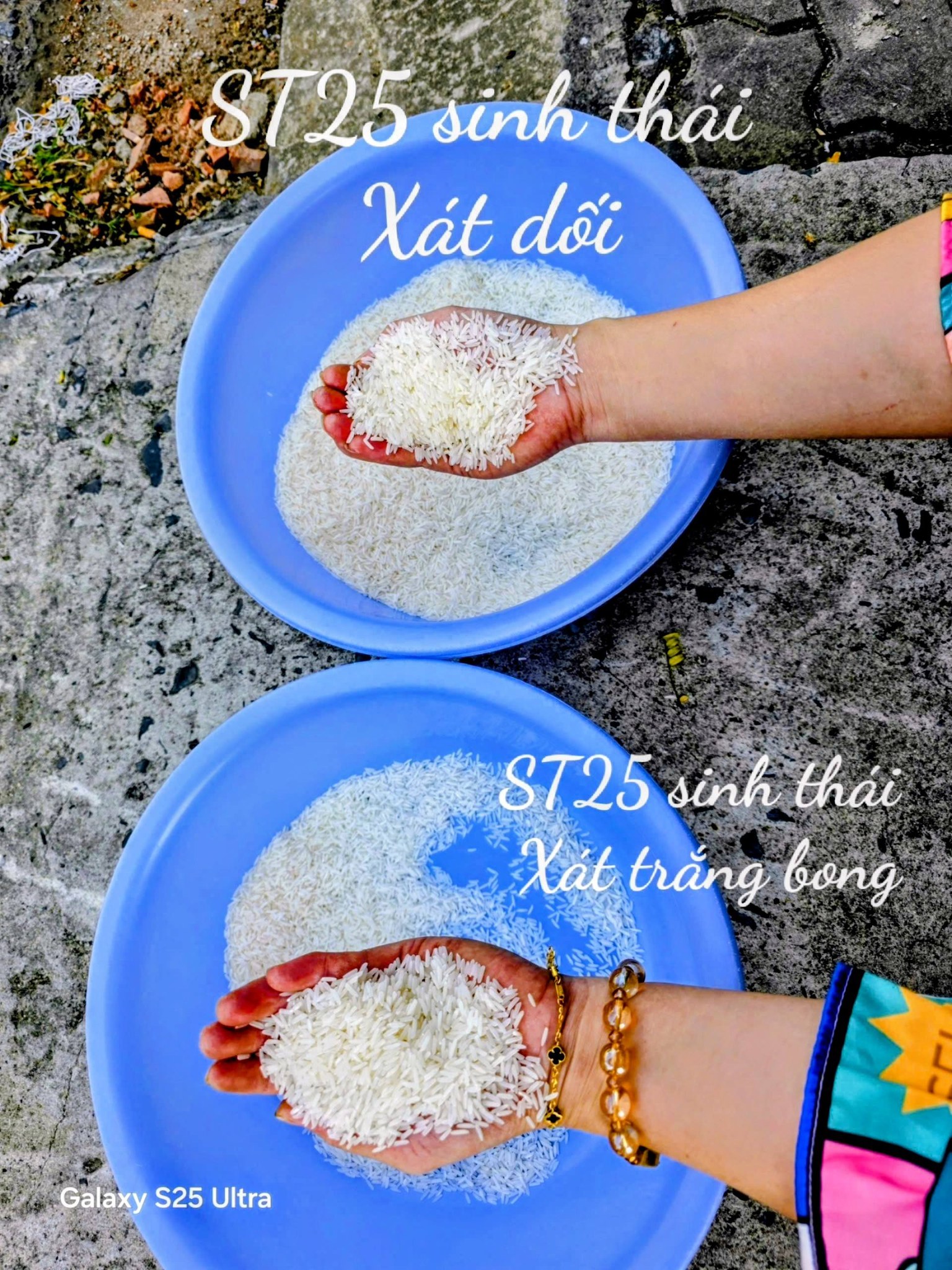 Dinh Dưỡng Gạo Xát Dối – Giá Trị Thật Sự Nằm Ở Lớp Cám Và Phôi Mầm