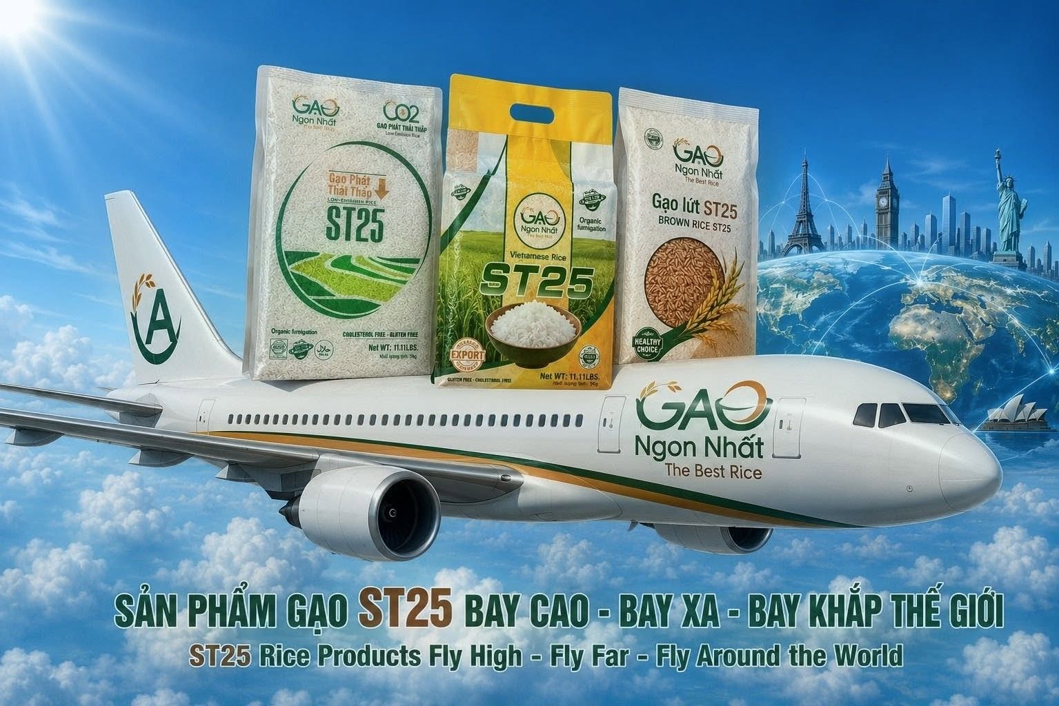Gạo ST25 Gạo Ngon Nhất – Hành Trình Đưa Hạt Gạo Việt Vươn Tầm Thế Giới