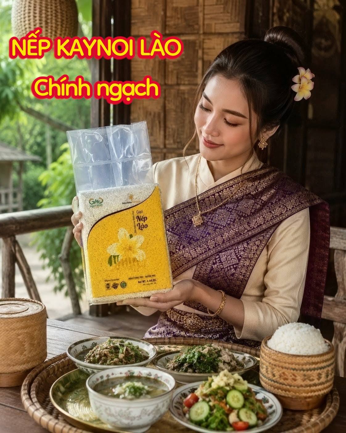 Nếp Khao Kay Noi Lào – Đặc sản nếp ngon nổi tiếng đất Triệu Voi
