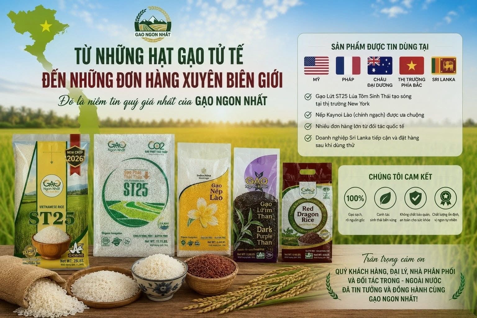 Từ Những Hạt Gạo Tử Tế Đến Những Đơn Hàng Xuyên Biên Giới | GẠO NGON NHẤT
